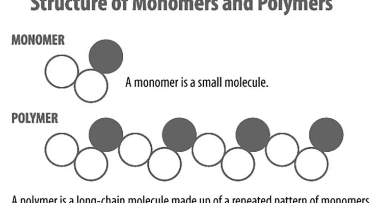 Vinyle monomère versus vinyle polymère